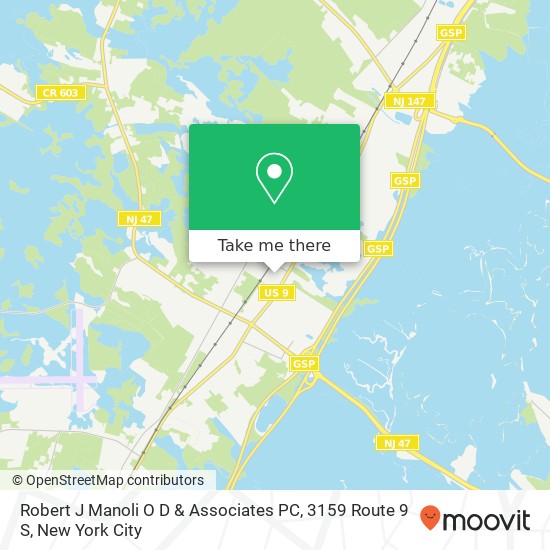 Robert J Manoli O D & Associates PC, 3159 Route 9 S map