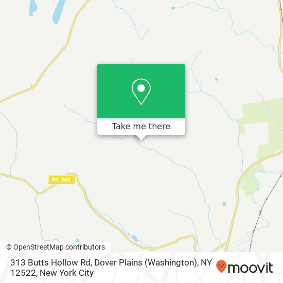 Mapa de 313 Butts Hollow Rd, Dover Plains (Washington), NY 12522