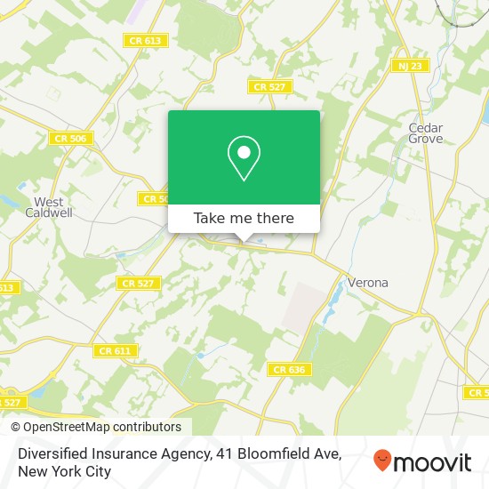 Diversified Insurance Agency, 41 Bloomfield Ave map