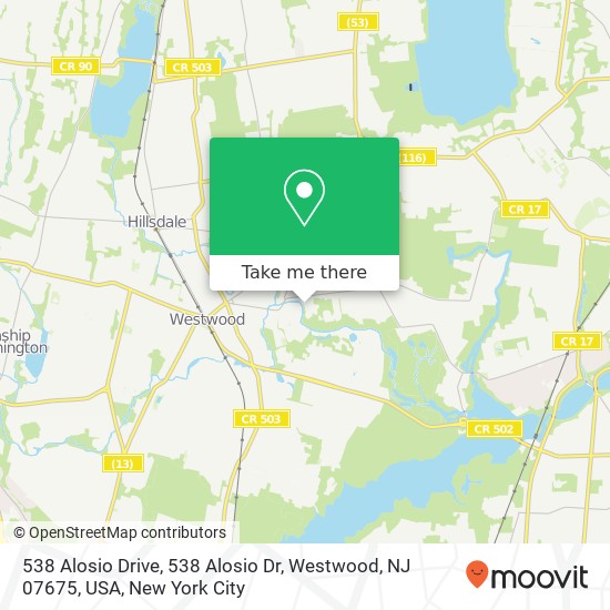 Mapa de 538 Alosio Drive, 538 Alosio Dr, Westwood, NJ 07675, USA