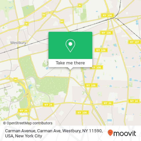 Carman Avenue, Carman Ave, Westbury, NY 11590, USA map