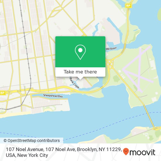 Mapa de 107 Noel Avenue, 107 Noel Ave, Brooklyn, NY 11229, USA