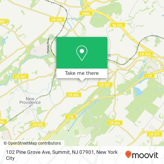 Mapa de 102 Pine Grove Ave, Summit, NJ 07901