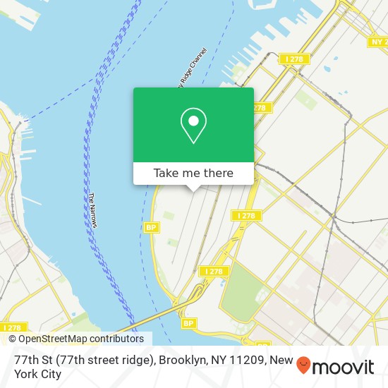 77th St (77th street ridge), Brooklyn, NY 11209 map