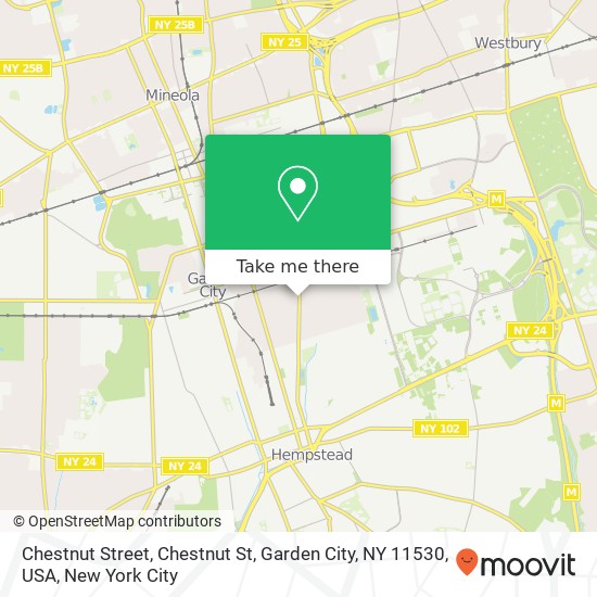 Mapa de Chestnut Street, Chestnut St, Garden City, NY 11530, USA