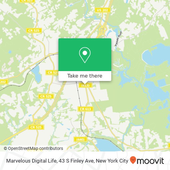 Marvelous Digital Life, 43 S Finley Ave map