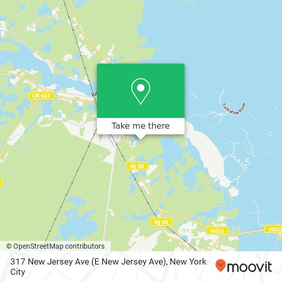 Mapa de 317 New Jersey Ave (E New Jersey Ave), Woodbine, NJ 08270