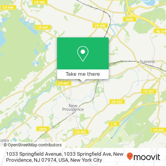 Mapa de 1033 Springfield Avenue, 1033 Springfield Ave, New Providence, NJ 07974, USA