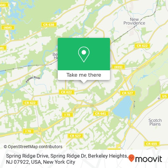 Spring Ridge Drive, Spring Ridge Dr, Berkeley Heights, NJ 07922, USA map