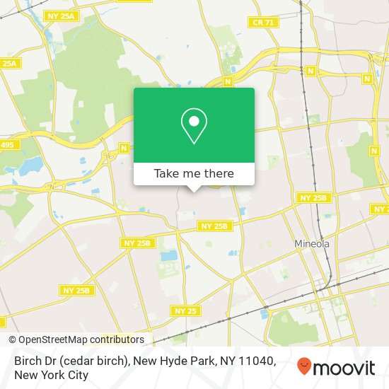 Mapa de Birch Dr (cedar birch), New Hyde Park, NY 11040