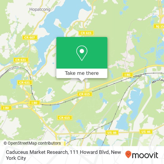 Mapa de Caduceus Market Research, 111 Howard Blvd