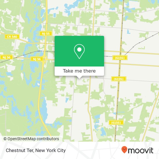 Chestnut Ter, Vineland (EAST VINELAND), NJ 08360 map