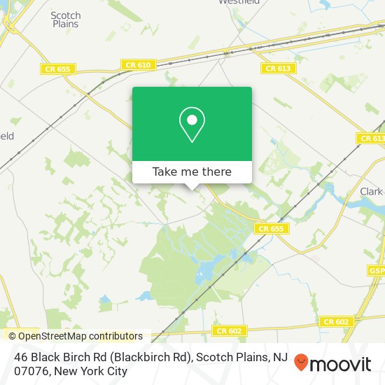 46 Black Birch Rd (Blackbirch Rd), Scotch Plains, NJ 07076 map