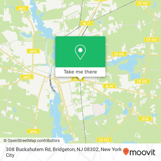 308 Buckshutem Rd, Bridgeton, NJ 08302 map