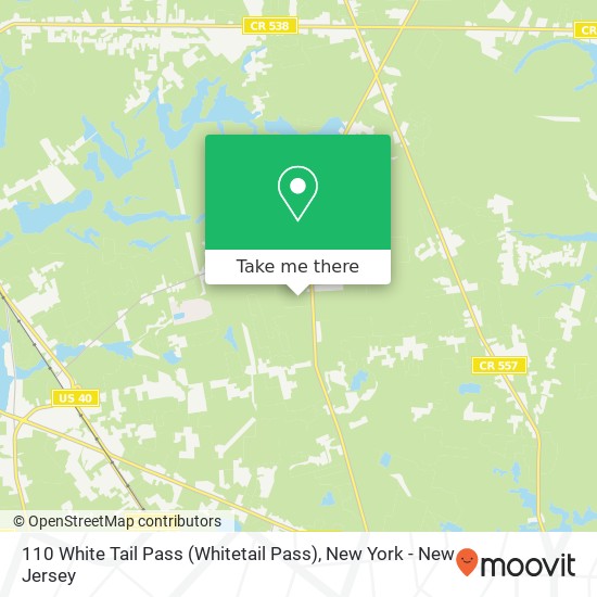 110 White Tail Pass (Whitetail Pass), Franklinville, NJ 08322 map