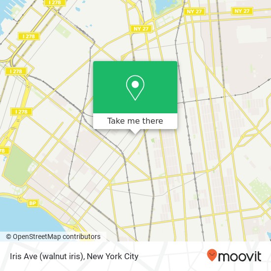 Iris Ave (walnut iris), Brooklyn (New York City), NY 11204 map