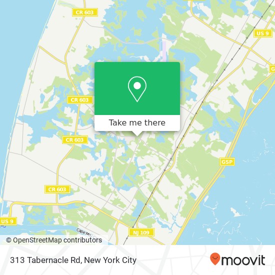 313 Tabernacle Rd, Cape May, NJ 08204 map