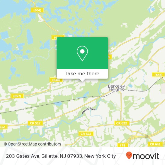 203 Gates Ave, Gillette, NJ 07933 map