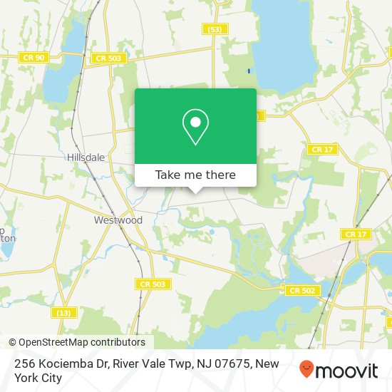 Mapa de 256 Kociemba Dr, River Vale Twp, NJ 07675