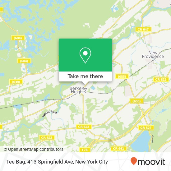 Mapa de Tee Bag, 413 Springfield Ave