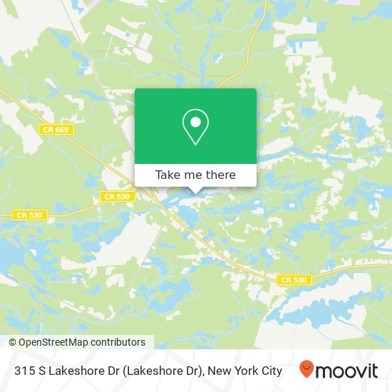 Mapa de 315 S Lakeshore Dr (Lakeshore Dr), Browns Mills, NJ 08015