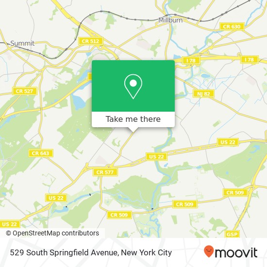 Mapa de 529 South Springfield Avenue, 529 S Springfield Ave, Springfield Township, NJ 07081, USA