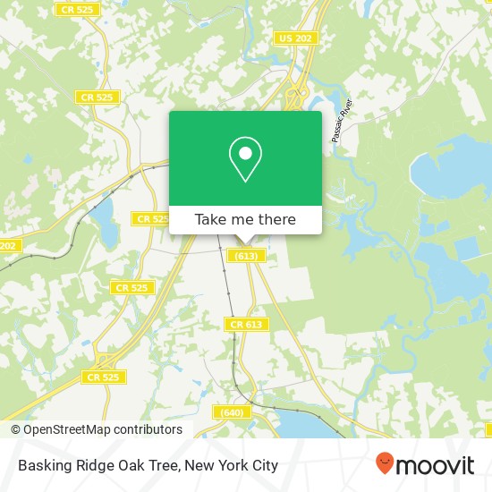 Mapa de Basking Ridge Oak Tree