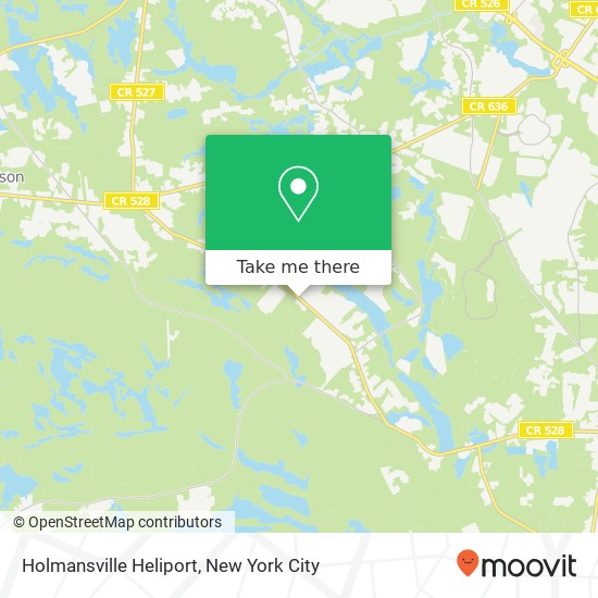 Holmansville Heliport map