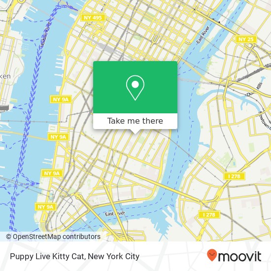 Puppy Live Kitty Cat map