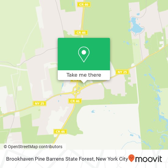 Brookhaven Pine Barrens State Forest map