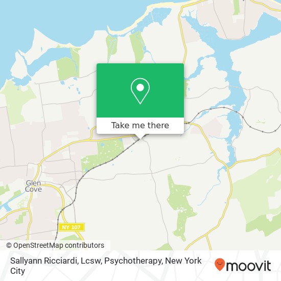 Sallyann Ricciardi, Lcsw, Psychotherapy map