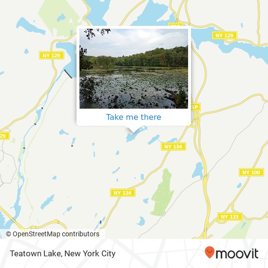 Mapa de Teatown Lake