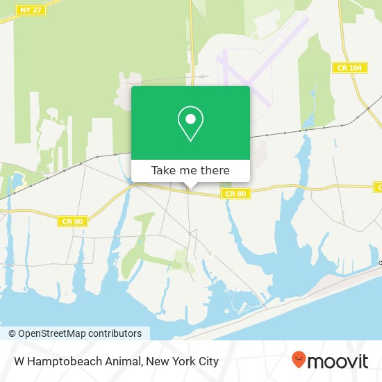 W Hamptobeach Animal, 126 Montauk Hwy map