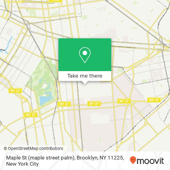 Mapa de Maple St (maple street palm), Brooklyn, NY 11225