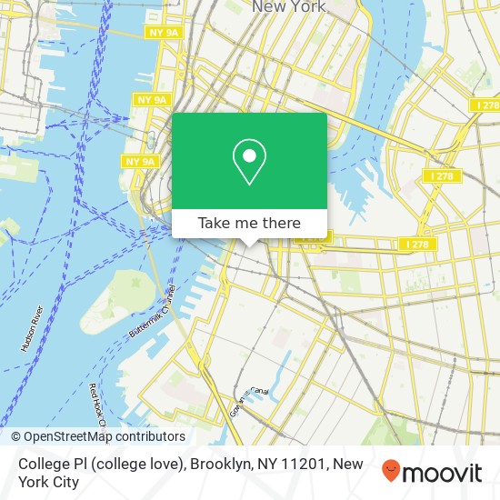 College Pl (college love), Brooklyn, NY 11201 map