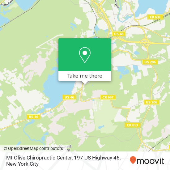 Mt Olive Chiropractic Center, 197 US Highway 46 map