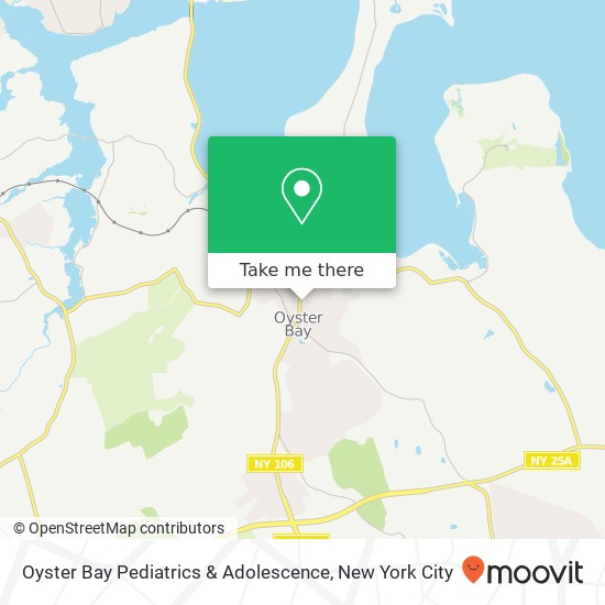 Oyster Bay Pediatrics & Adolescence, 229 South St map