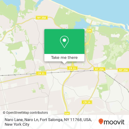 Mapa de Naro Lane, Naro Ln, Fort Salonga, NY 11768, USA