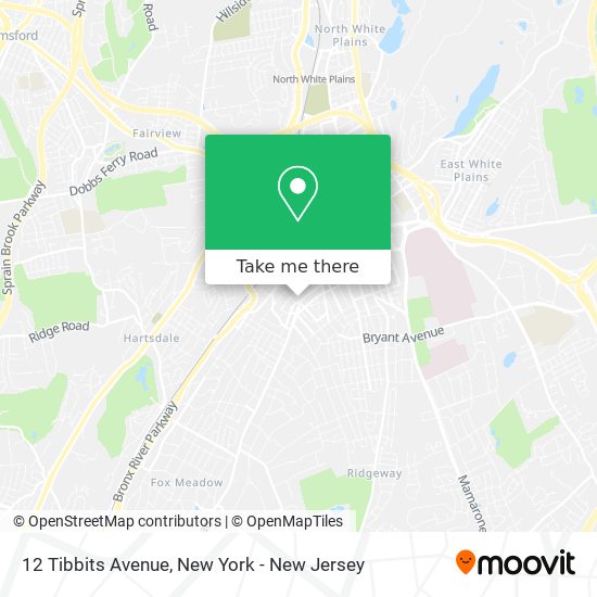 12 Tibbits Avenue map