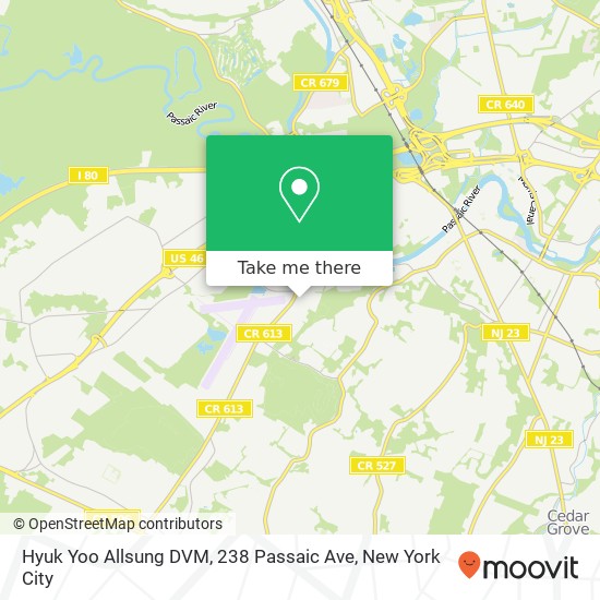 Mapa de Hyuk Yoo Allsung DVM, 238 Passaic Ave