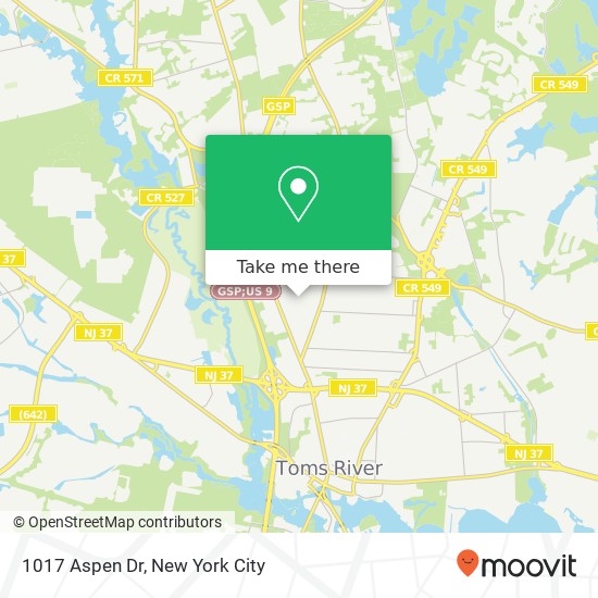 Mapa de 1017 Aspen Dr, Toms River, NJ 08753