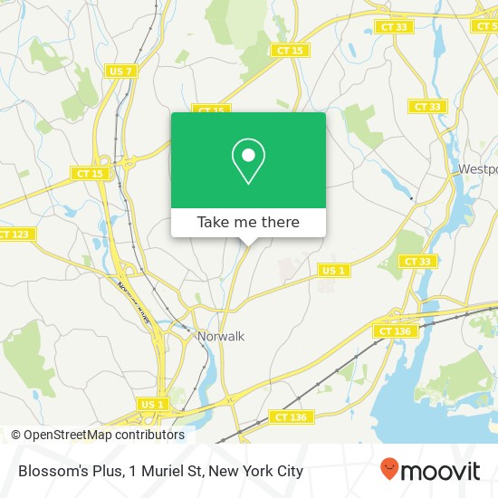 Blossom's Plus, 1 Muriel St map