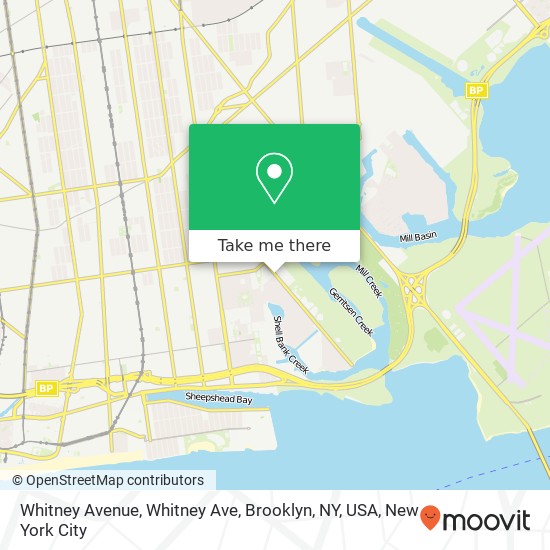 Whitney Avenue, Whitney Ave, Brooklyn, NY, USA map