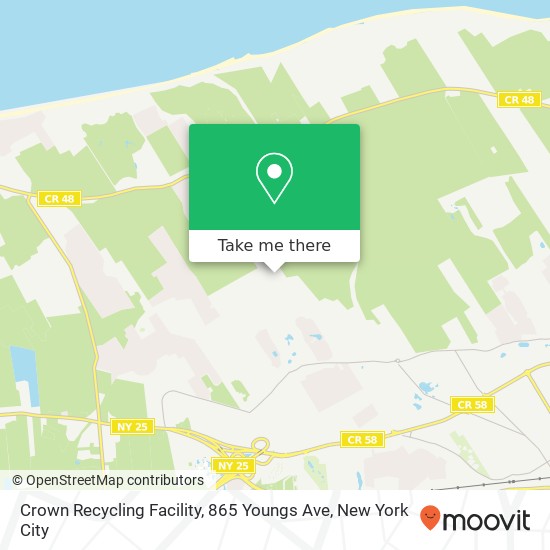 Mapa de Crown Recycling Facility, 865 Youngs Ave