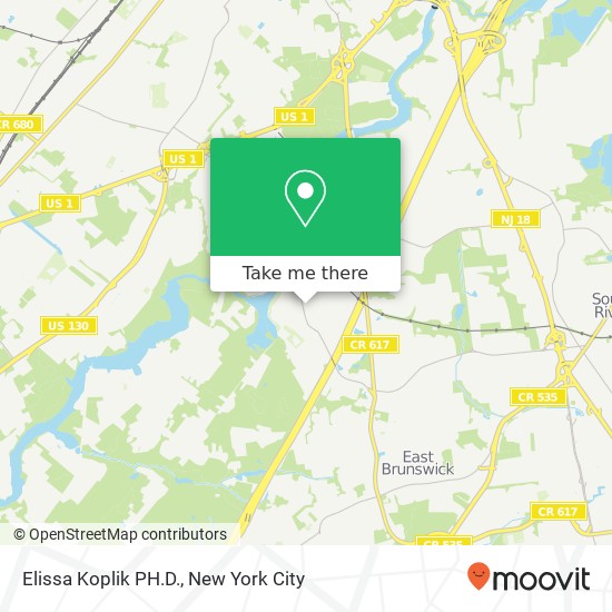 Mapa de Elissa Koplik PH.D., 161 S Main St