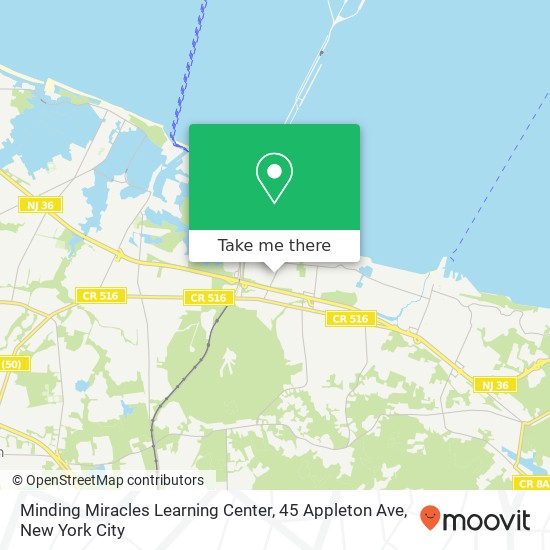 Minding Miracles Learning Center, 45 Appleton Ave map