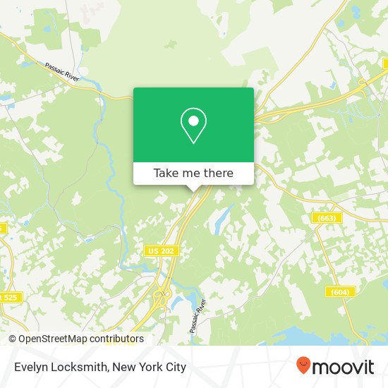 Mapa de Evelyn Locksmith, 995 Mt Kemble Ave