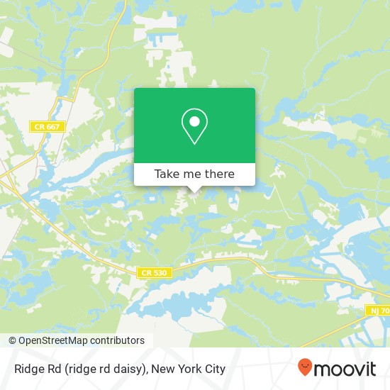 Mapa de Ridge Rd (ridge rd daisy), Browns Mills, NJ 08015