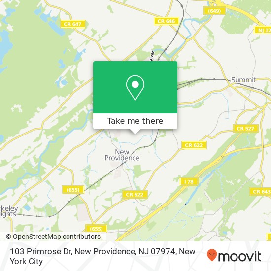 Mapa de 103 Primrose Dr, New Providence, NJ 07974