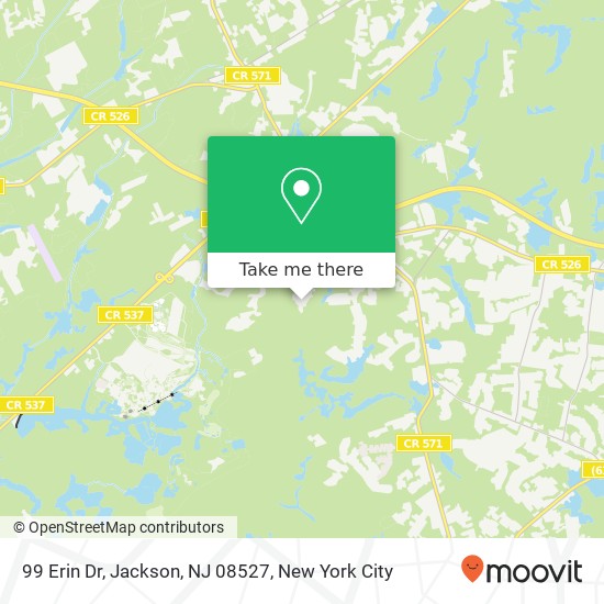 Mapa de 99 Erin Dr, Jackson, NJ 08527